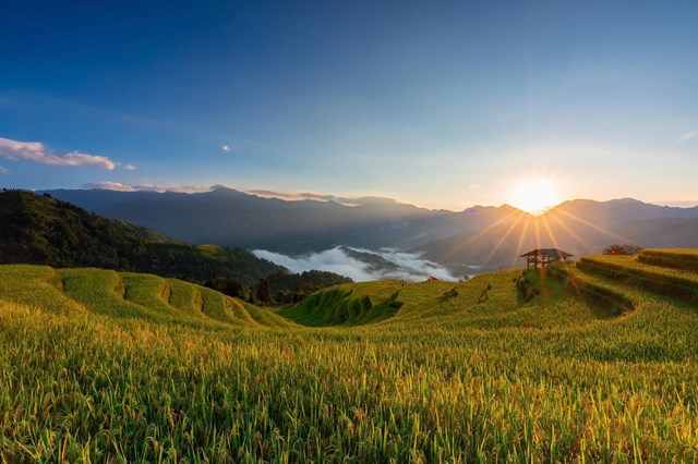 Hoang Su Phi - The golden season brilliantly illuminates a piece of the sky.